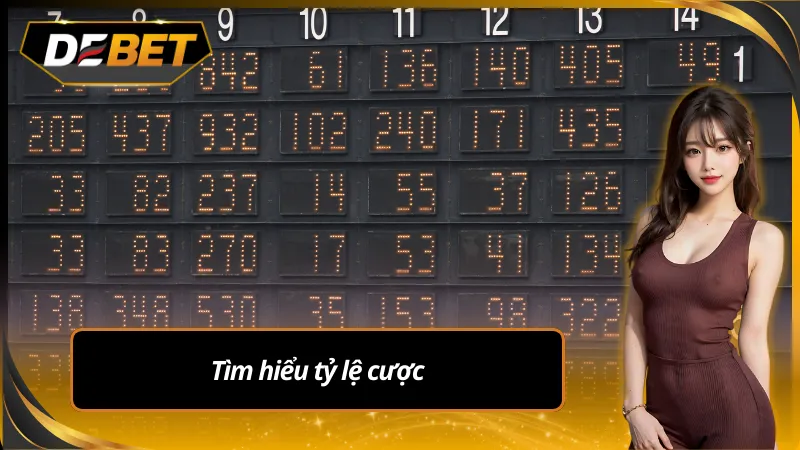 Tìm hiểu tỷ lệ cược trong cẩm nang chơi cá cược debet