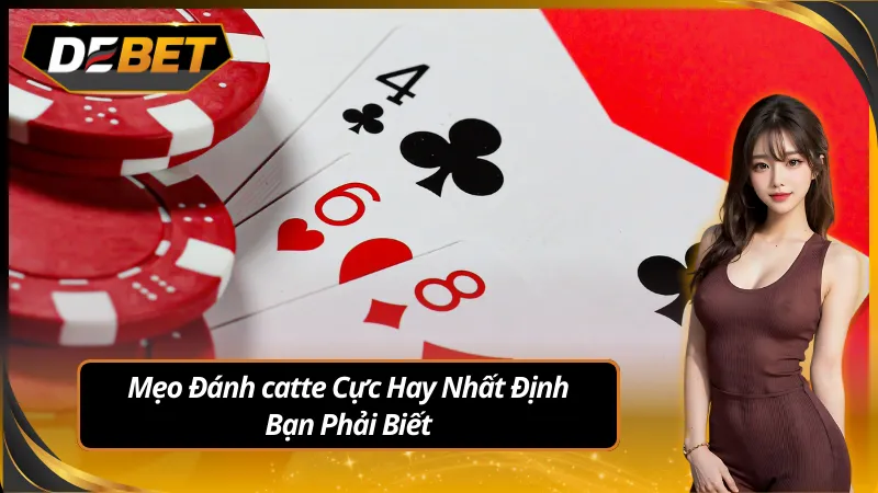 Mẹo chơi bài catte đơn giản cho người chơi mới